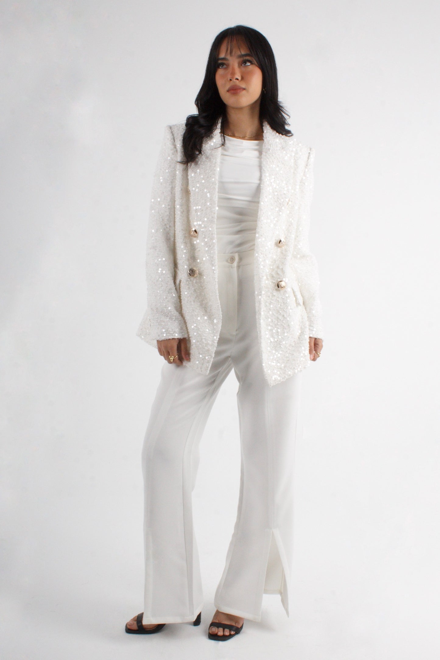 Double Breasted Sequins Blazer